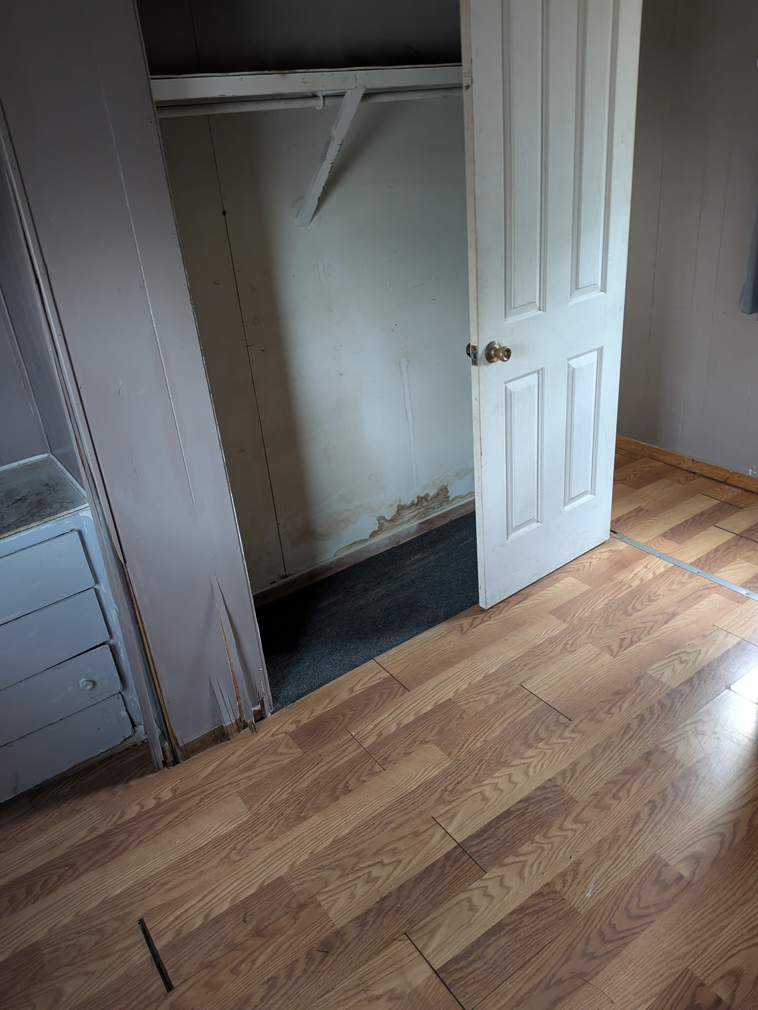 IMG_20260224_103048 (2)