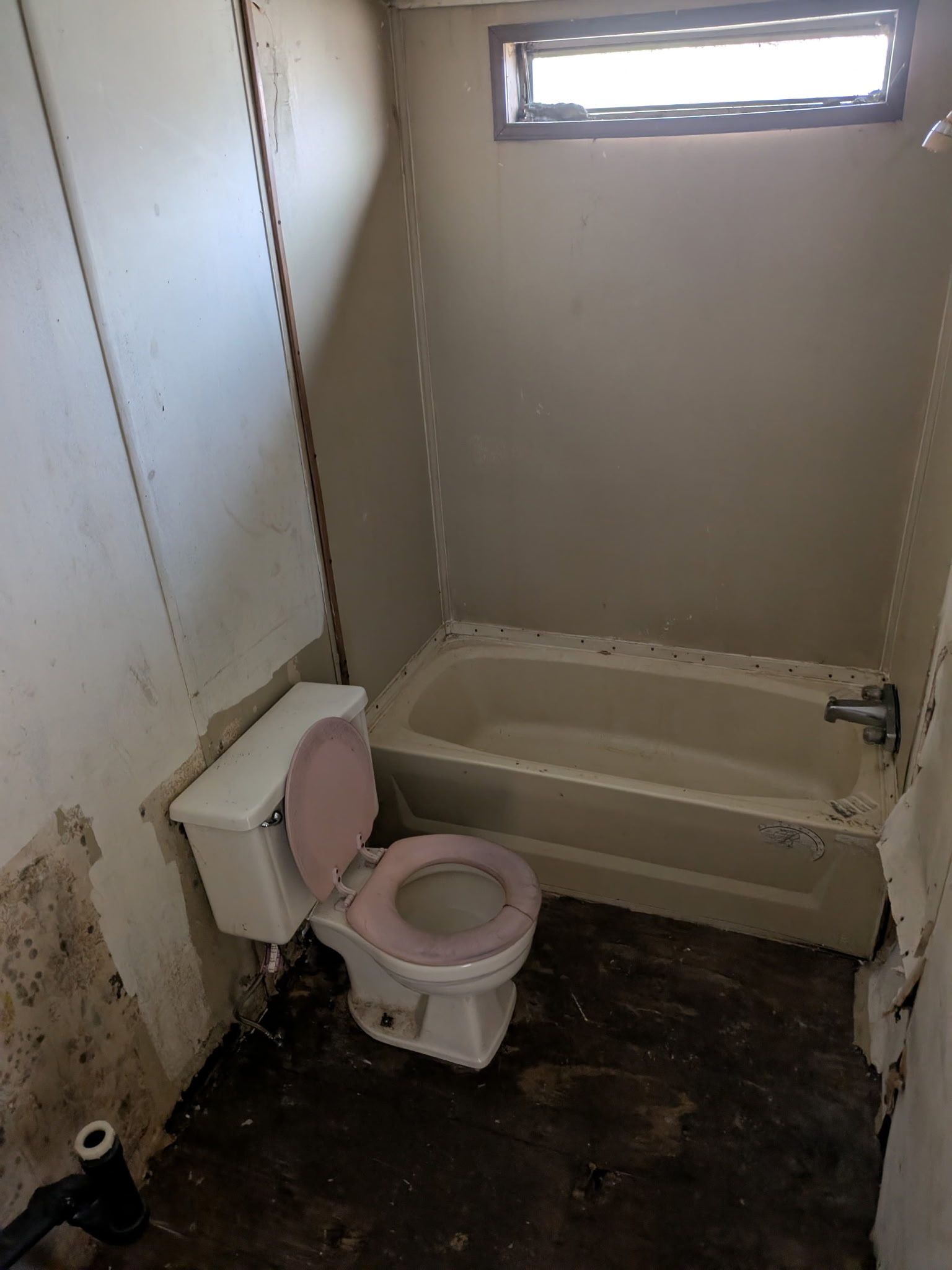 IMG_20260224_103738 (3)