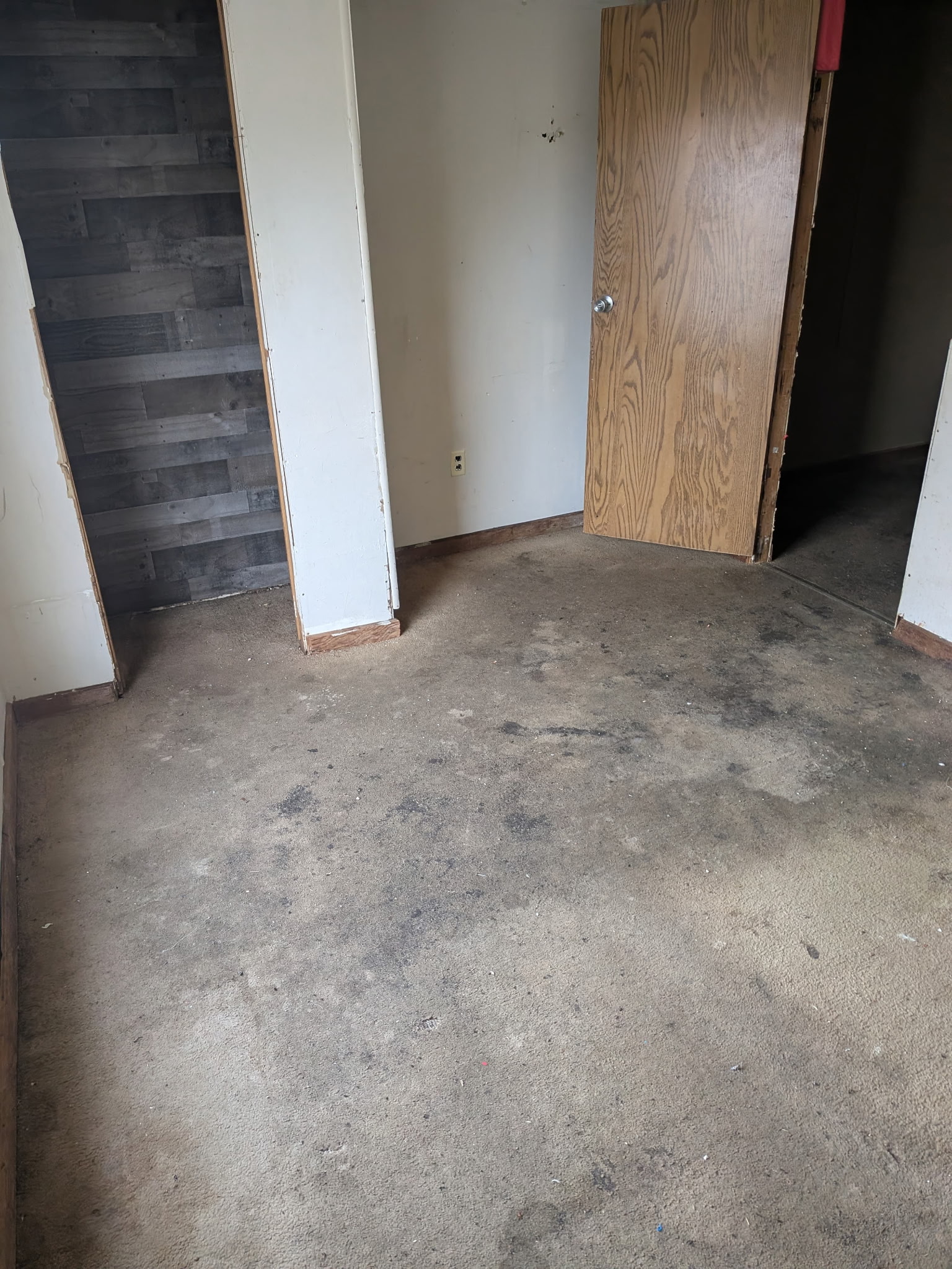 IMG_20260224_103753 (8)